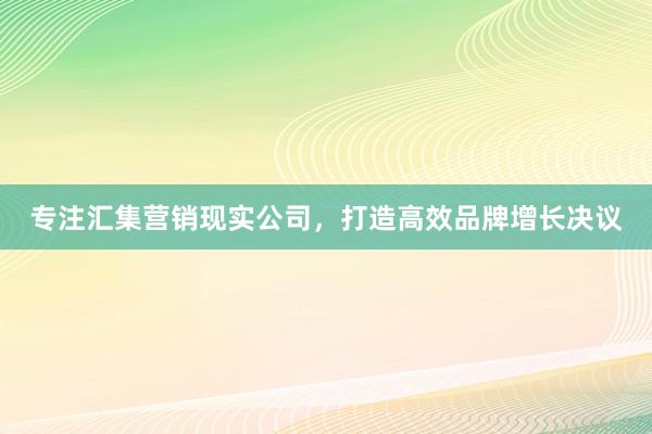 专注汇集营销现实公司，打造高效品牌增长决议