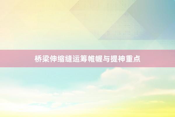 桥梁伸缩缝运筹帷幄与提神重点