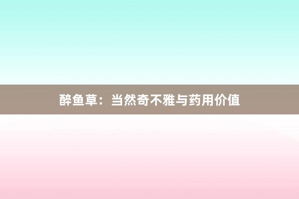 醉鱼草：当然奇不雅与药用价值